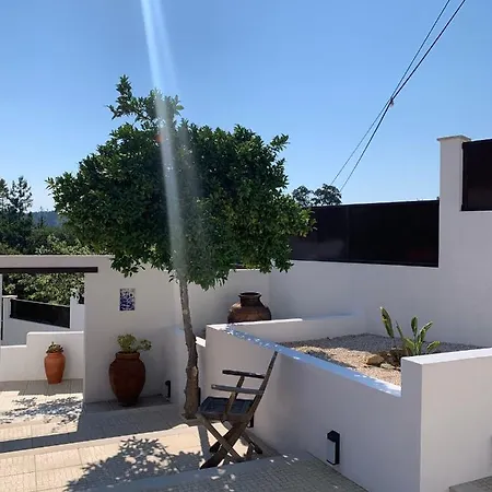 Casa Da Oliveira Bed & Breakfast