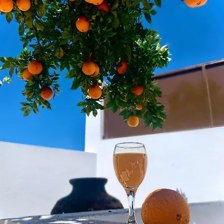 Bed & Breakfast Casa Da Oliveira