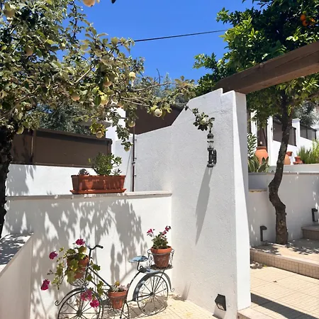 Bed & Breakfast Casa Da Oliveira