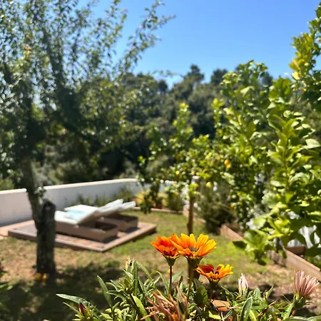 Bed & Breakfast Casa Da Oliveira 4*