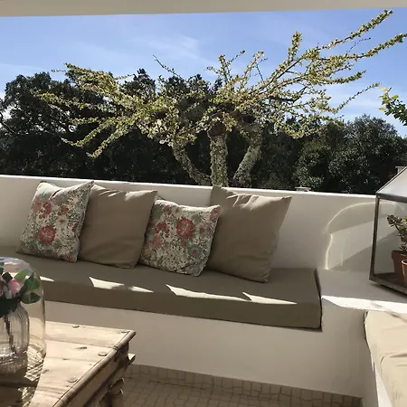 Casa Da Oliveira Bed & Breakfast