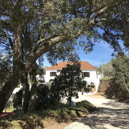 Casa Da Oliveira Pedrogao Grande