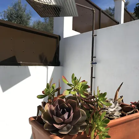 Bed & Breakfast Casa Da Oliveira Pedrogao Grande