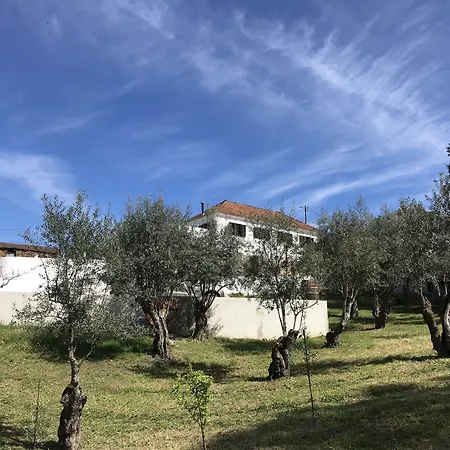 Casa Da Oliveira