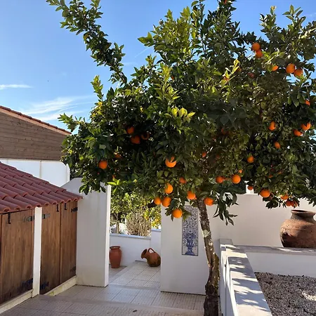 Casa Da Oliveira Bed & Breakfast