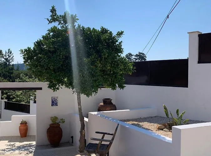 Casa Da Oliveira Bed & Breakfast