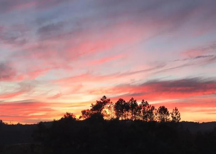 Casa Da Oliveira Bed & Breakfast