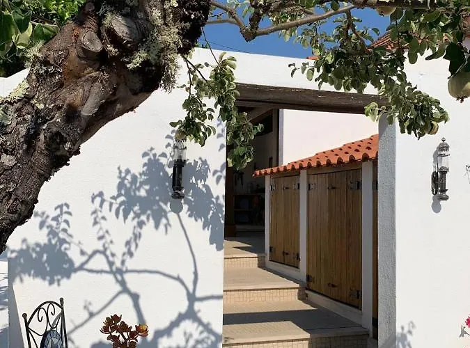 Casa Da Oliveira Bed & Breakfast