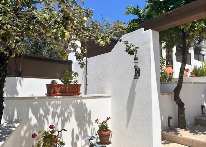 Bed & Breakfast Casa Da Oliveira