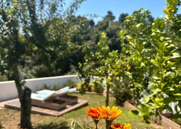 Bed & Breakfast Casa Da Oliveira 4*