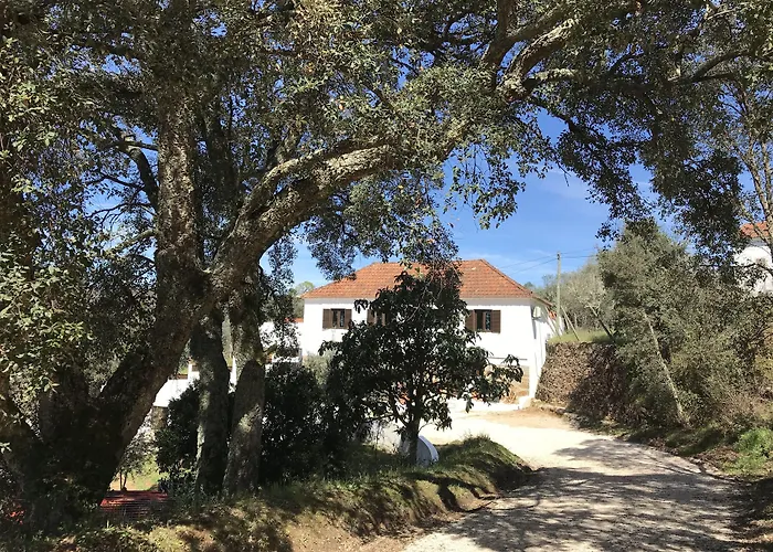 Casa Da Oliveira Pedrogao Grande