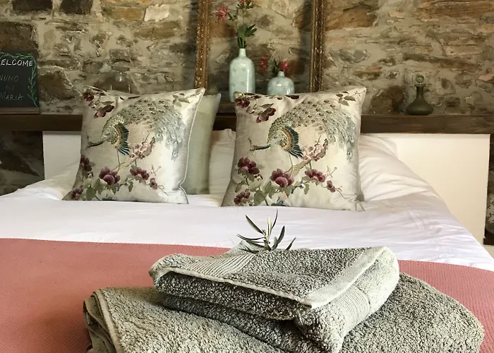 Bed & Breakfast Casa Da Oliveira Pedrogao Grande