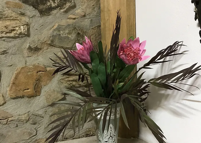 Casa Da Oliveira Bed & Breakfast